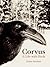 Corvus: A Life with Birds