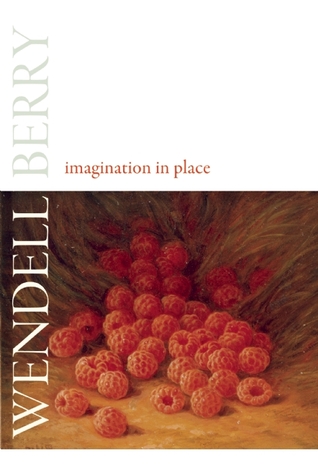 Imagination in Place (Hardcover)
