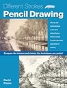 Different Strokes: Pencil Drawing