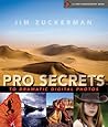 Pro Secrets to Dr...