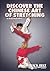 Discover the Chinese Art of Stretching by Remy A. Presas