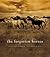 The Forgotten Horses