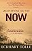 Meditations on the Now: 365 Inspirational Selections from The Power of Now
