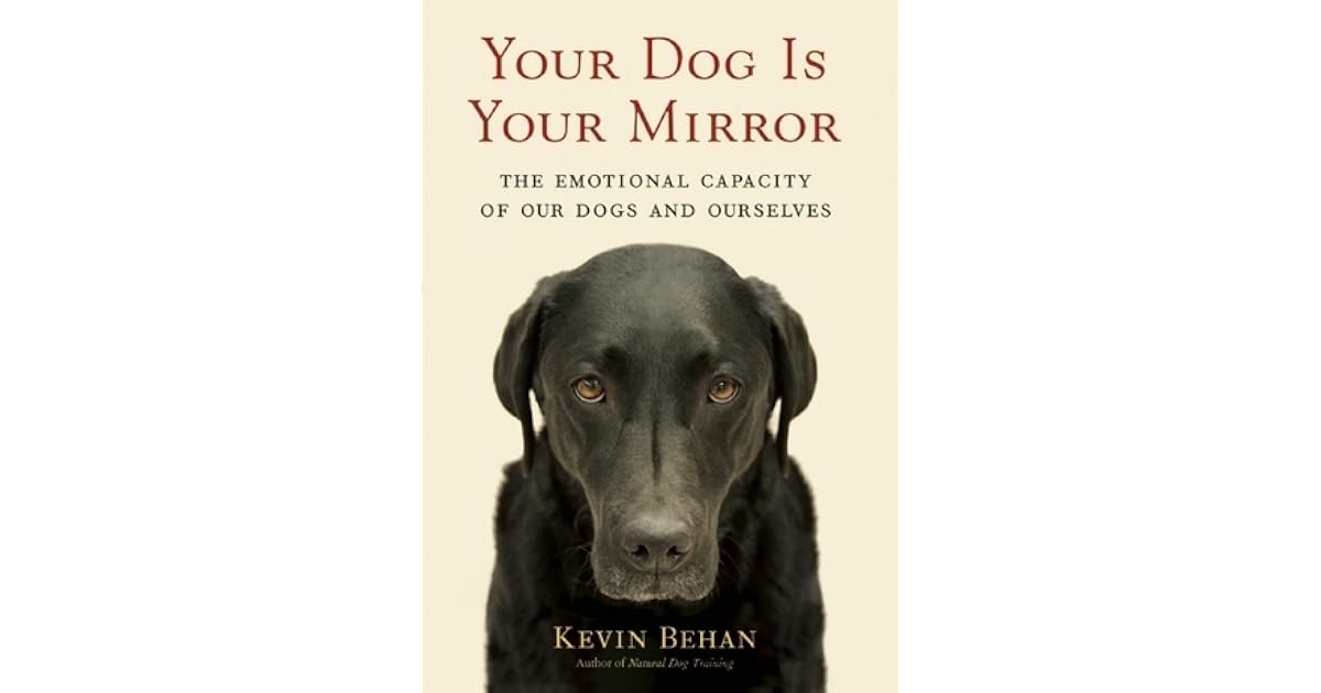 Your Dog Is Your Mirror: The Emotional Capacity Of Our Dogs And Ourselves By Kevin Behan – Paperback, Good