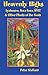 Heavenly Highs: Ayahuasca, Kava-kava, DMT & Other Plants of the Gods