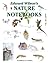 Edward Wilson's Nature Notebooks by David M.  Wilson