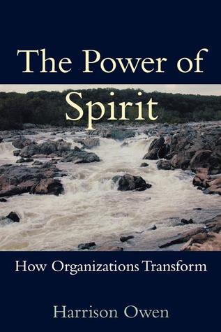 The Power of Spirit: How Organizations Transform (Paperback)