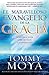 El maravilloso evangelio de la gracia: Aprenda a vivir libre de culpa y condenación (Spanish Edition)