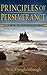 Principles Of Perserverance...