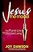 Jesus, The Model: The Plumb...