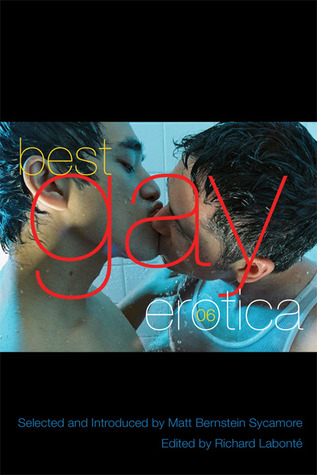 Best Gay Erotica 2006 (Paperback)