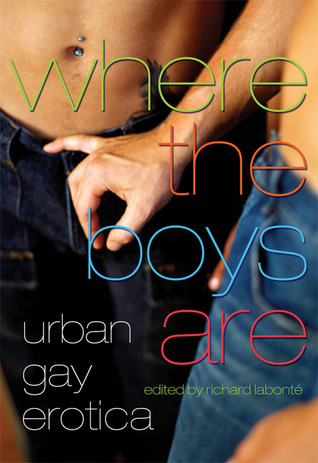 Where the Boys Are: Urban Gay Erotica