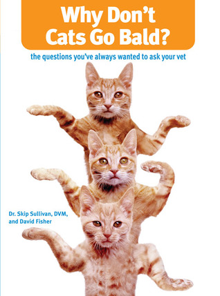 Why Don't Cats Go Bald?: The Questions You'Ve Always Wanted To Ask Your Vet