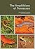 The Amphibians of Tennessee