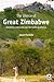 The Silence of Great Zimbabwe (UCL Institute of Archaeology Publications)