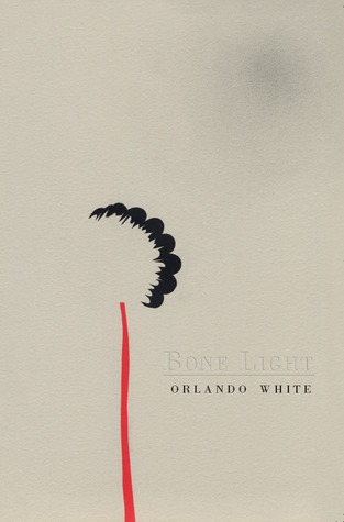 Bone Light (Paperback)