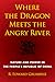 Where the Dragon Meets the Angry River: Nature and Power in the People's Republic of China (Shearwater)