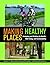 Making Healthy Places: Desi...