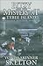 Bitsy and the Mystery at Tybee Island by Vonda Skinner Skelton