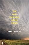 The Last Fair Deal Going Down by David Rhodes