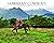 Hawaiian Cowboys: A Photographic Journal