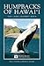 Humpbacks of Hawai'i: The Long Journey Back