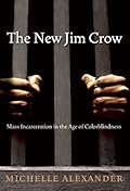 The New Jim Crow: Mass Incarceration in the Age of Colorblindness 
