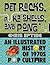 Pet Rocks, Puka Shells, and Pong: An Illustrated History of 1970s Pop Culture