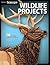 Wildlife Projects: 28 Favorite Projects & Patterns (Fox Chapel Publishing) The Best of Scroll Saw Woodworking & Crafts Magazine