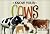 Know Your Cows