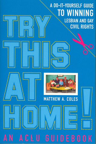 Try This at Home!: A Do-It-Yourself Guide to Winning Lesbian and Gay Civil Rights Policy (Paperback)