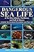 Dangerous Sea Life of the West Atlantic, Caribbean, and Gulf of Mexico: A Guide for Accident Prevention and First Aid
