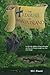 The Treasure of Amelia Island by M.C. Finotti
