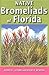 Native Bromeliads of Florida