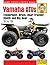 Yamaha Timberwolf, Bruin, Bear Tracker, 350ER, Big Bear 87-09 (Haynes Service & Repair Manual)