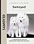 Samoyed