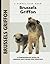 Brussels Griffon (Comprehensive Owners Guide)