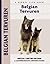 Belgian Tervuren by Robert Pollet
