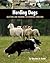 Herding Dogs: Selecting and Training the Working Farm Dog (Country Dog)