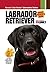 Labrador Retriever (Compani...
