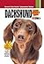 Dachshund (CompanionHouse B...