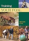 Training Your Foal