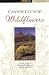 Canyon Country Wildflowers:...