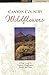 Canyon Country Wildflowers: A Field Guide to Common Wildflowers, Shrubs, and Trees (A Falcon Guide)