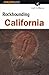 Rockhounding California by Gail A. Butler