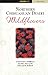 Northern Chihuahuan Desert Wildflowers: A Field Guide to Common Wildflowers, Shrubs, and Trees (Wildflower Series)