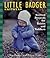 Little Badger Knitwear: Knitted Projects for Babies and Toddlers