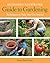 Beginner's Illustrated Guid...