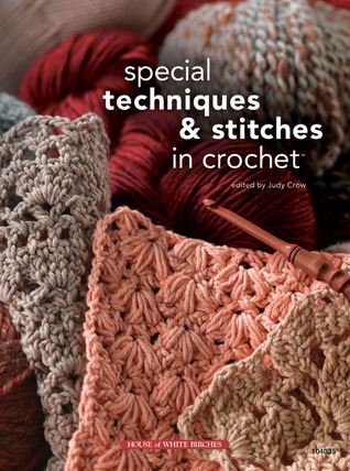 Special Techniques & Stitches in Crochet (Paperback)