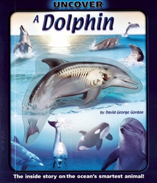 Uncover a Dolphin (Hardcover)
